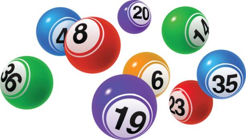 Lottery Participation